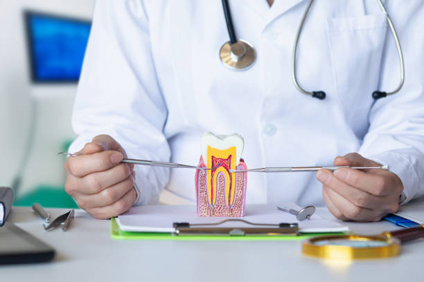 Best Broken or Chipped Tooth Repair in Hudson, CO